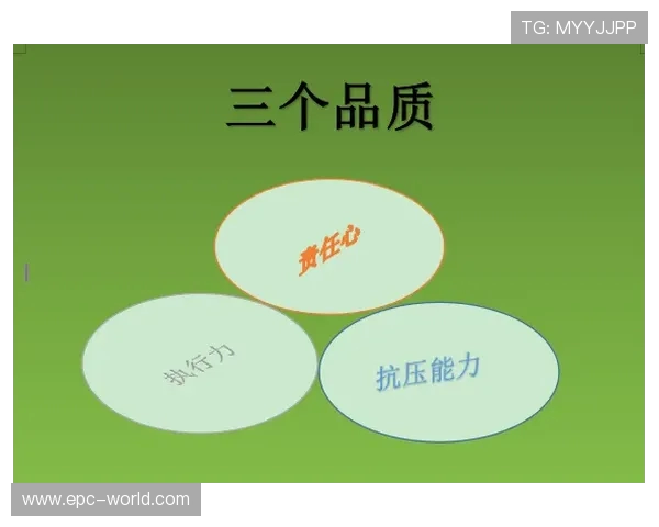 职业选手的抗压能力测试与选拔标准